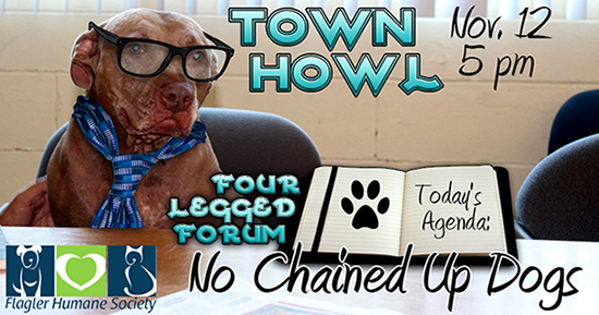 town_howl