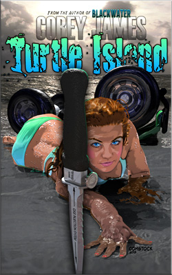 Turtle Island Cover