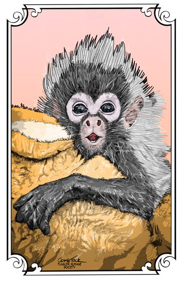 Monkey